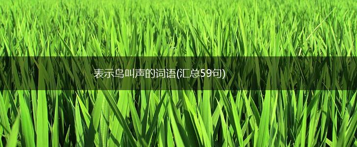 表示鸟叫声的词语(汇总59句),第1张