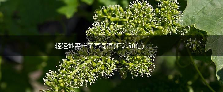 轻轻地照样子写词语(汇总50句),第1张