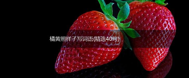 橘黄照样子写词语(精选40句),第1张