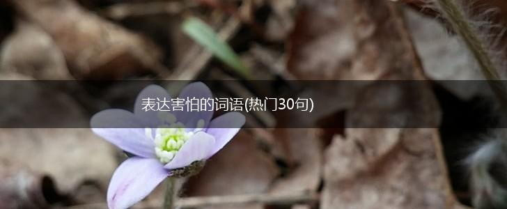 表达害怕的词语(热门30句),第1张