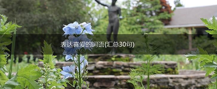表达喜爱的词语(汇总30句),第1张