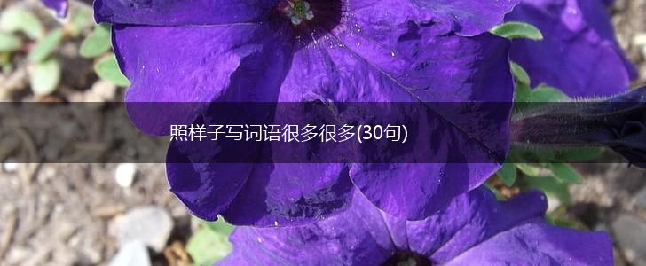 照样子写词语很多很多(30句),第1张