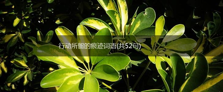 行动所留的痕迹词语(共52句),第1张