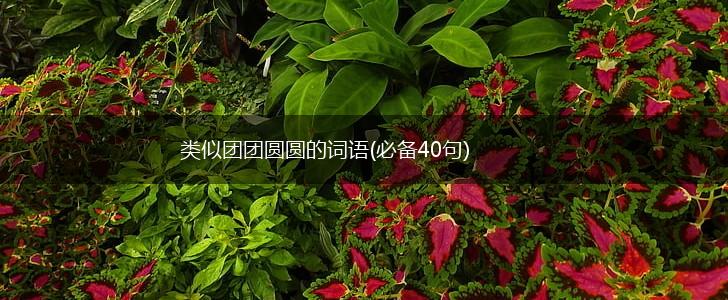 类似团团圆圆的词语(必备40句),第1张