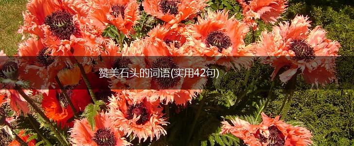 赞美石头的词语(实用42句),第1张