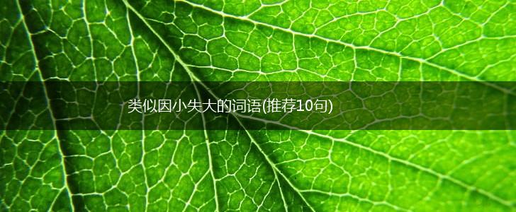 类似因小失大的词语(推荐10句),第1张