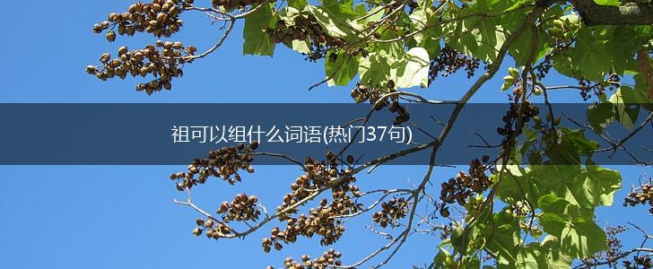 祖可以组什么词语(热门37句),第1张