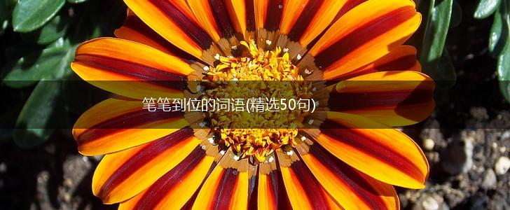 笔笔到位的词语(精选50句),第1张