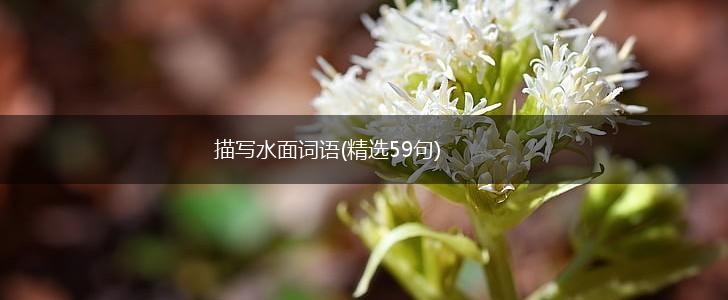 描写水面词语(精选59句),第1张