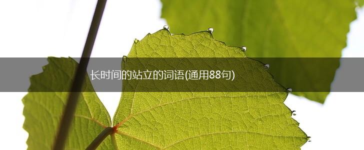 长时间的站立的词语(通用88句),第1张