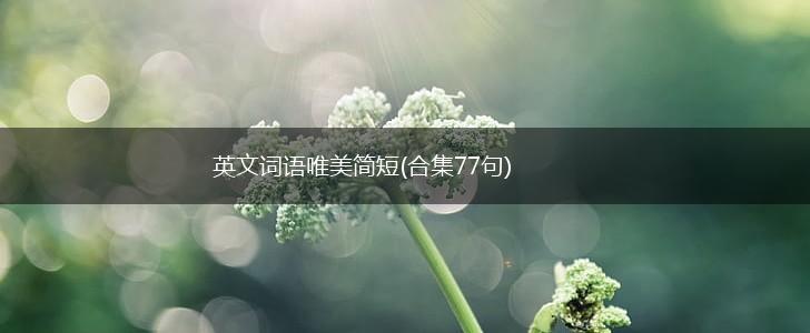 英文词语唯美简短(合集77句),第1张