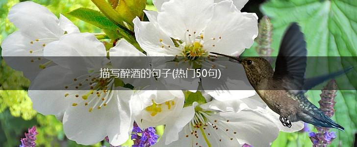 描写醉酒的句子(热门50句),第1张