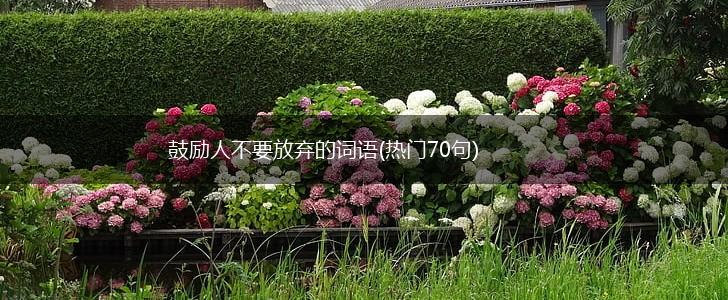鼓励人不要放弃的词语(热门70句),第1张