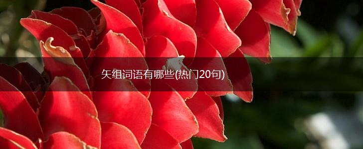 矢组词语有哪些(热门20句),第1张