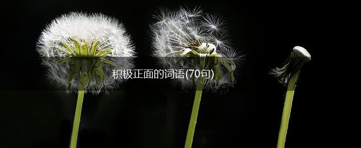 积极正面的词语(70句),第1张