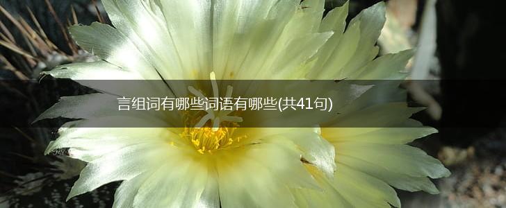 言组词有哪些词语有哪些(共41句),第1张