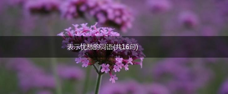 表示忧愁的词语(共16句),第1张