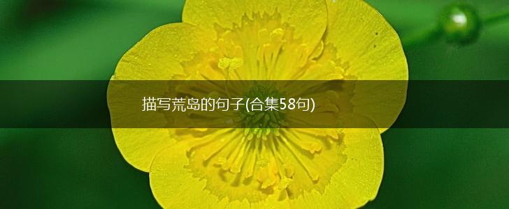 描写荒岛的句子(合集58句),第1张