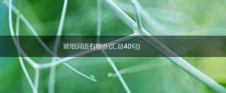 玻组词语有哪些(汇总40句),第1张