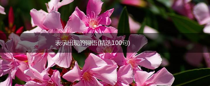 表示出现的词语(精选100句),第1张