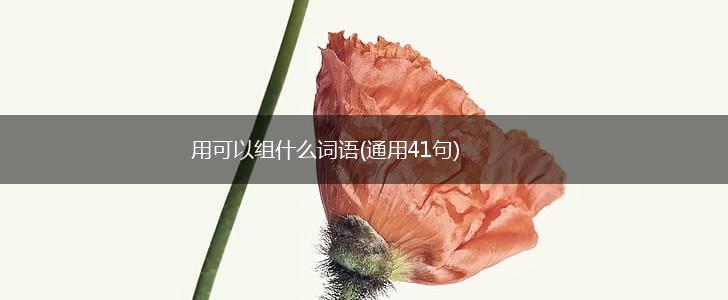 用可以组什么词语(通用41句),第1张