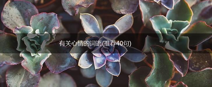 有关心情的词语(推荐40句),第1张