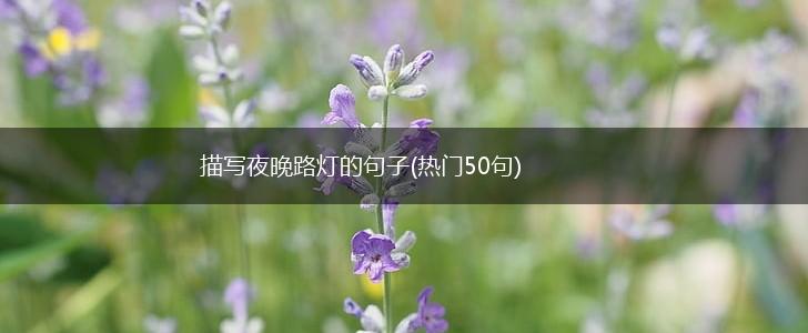 描写夜晚路灯的句子(热门50句),第1张