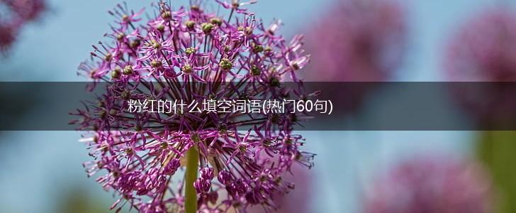 粉红的什么填空词语(热门60句),第1张