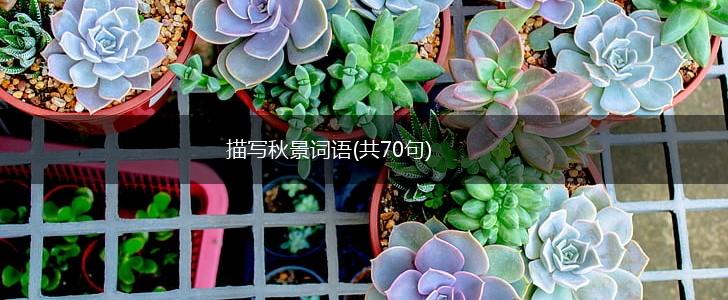 描写秋景词语(共70句),第1张