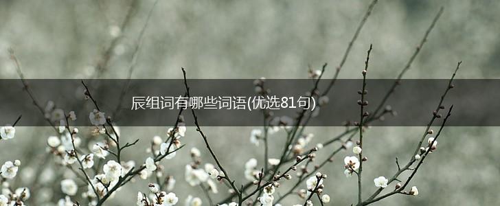 辰组词有哪些词语(优选81句),第1张