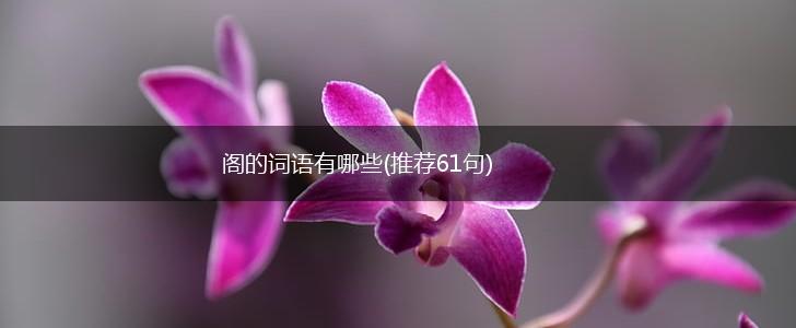 阁的词语有哪些(推荐61句),第1张
