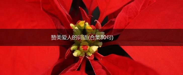 赞美爱人的词语(合集80句),第1张