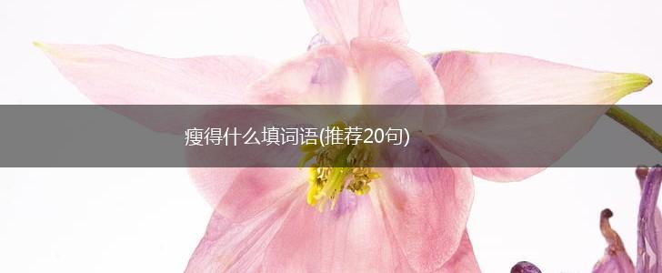 瘦得什么填词语(推荐20句),第1张