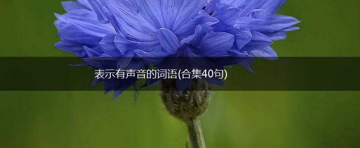 表示有声音的词语(合集40句),第1张