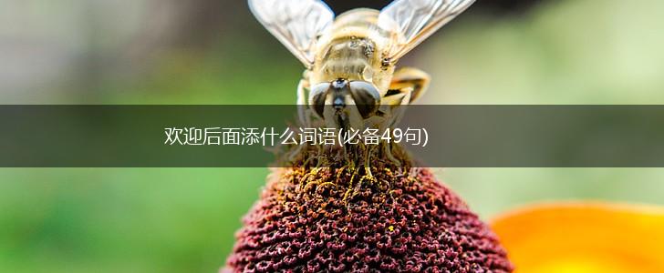 欢迎后面添什么词语(必备49句),第1张