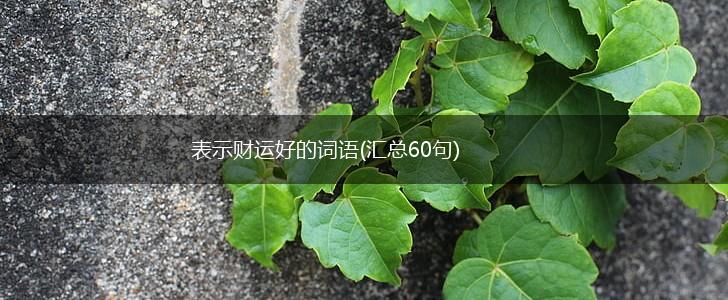 表示财运好的词语(汇总60句),第1张