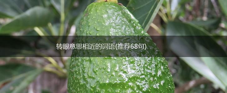 转眼意思相近的词语(推荐68句),第1张