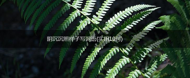 阴沉沉照样子写词语(实用10句),第1张