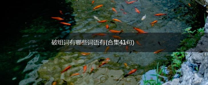 破组词有哪些词语有(合集41句),第1张
