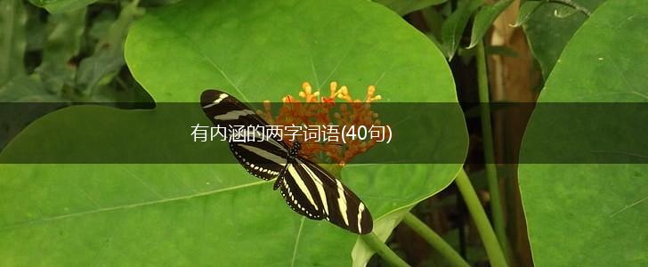 有内涵的两字词语(40句),第1张