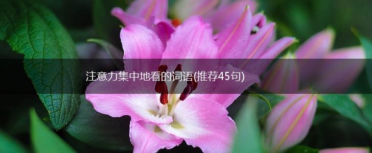 注意力集中地看的词语(推荐45句),第1张