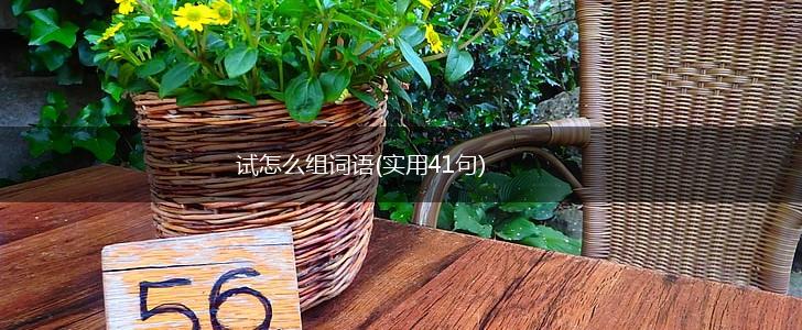 试怎么组词语(实用41句),第1张