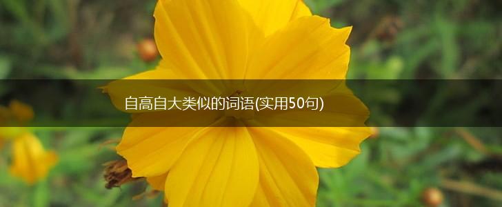 自高自大类似的词语(实用50句),第1张