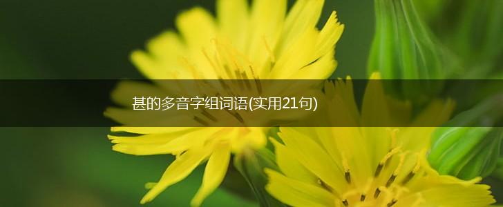 甚的多音字组词语(实用21句),第1张