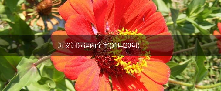 近义词词语两个字(通用20句),第1张