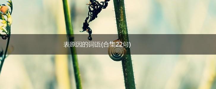 表原因的词语(合集22句),第1张