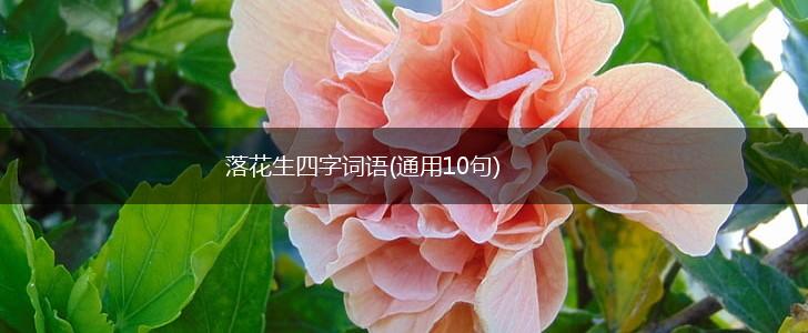 落花生四字词语(通用10句),第1张