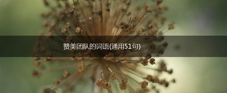 赞美团队的词语(通用51句),第1张