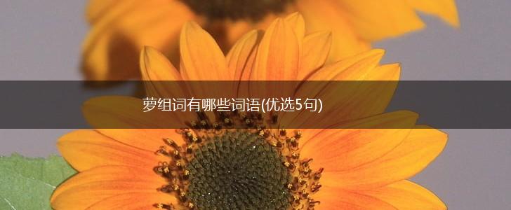 萝组词有哪些词语(优选5句),第1张