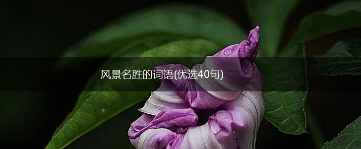 风景名胜的词语(优选40句),第1张